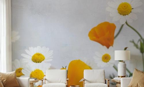 Daisies