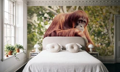 Orangulives