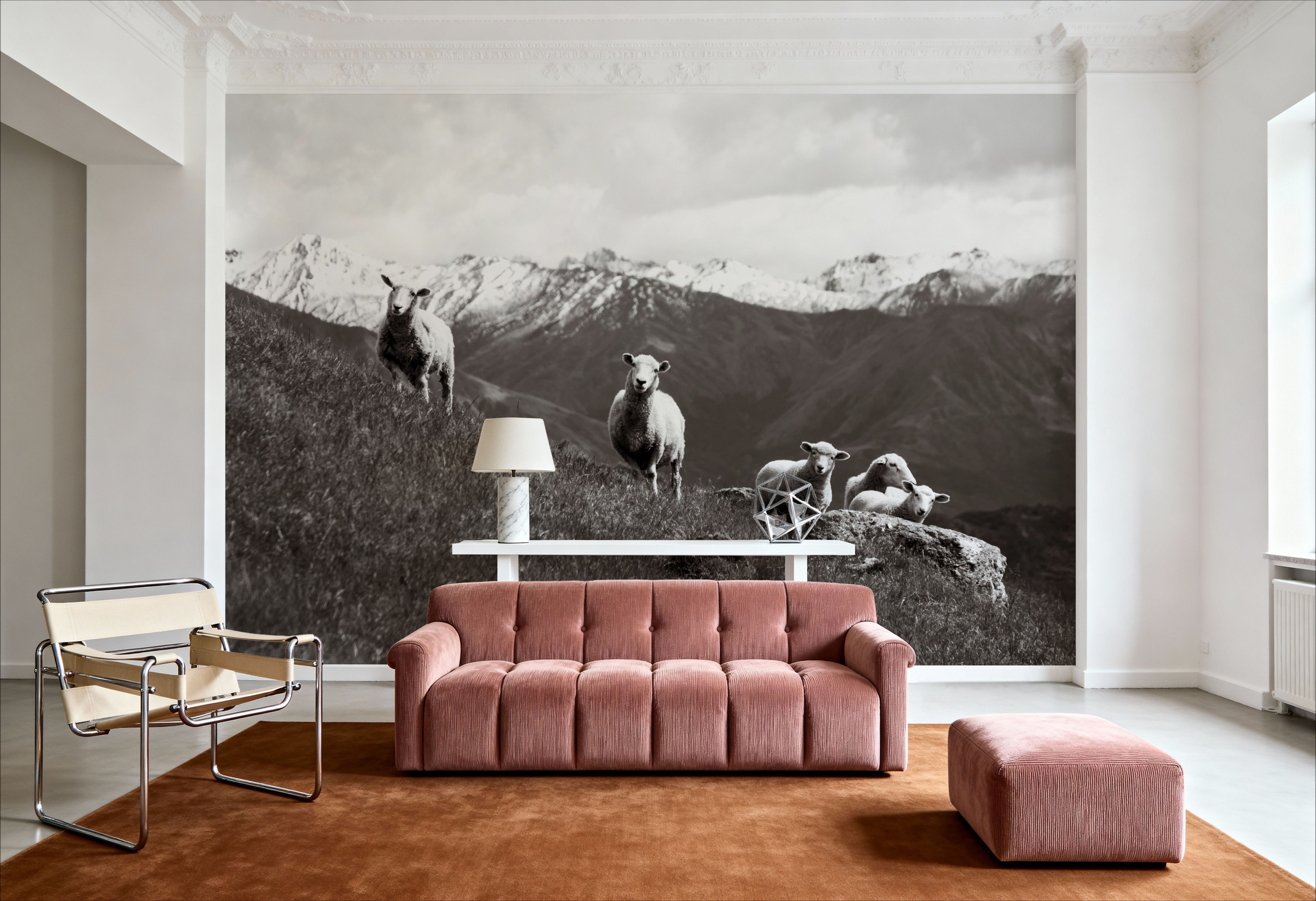 Wanaka Sheep III