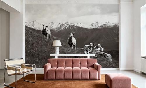 Wanaka Sheep III