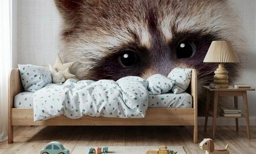 Peekaboo Raccoon
