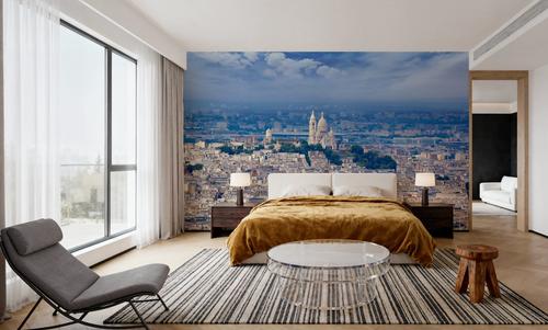 Paris Skyline and Sacre Coeur