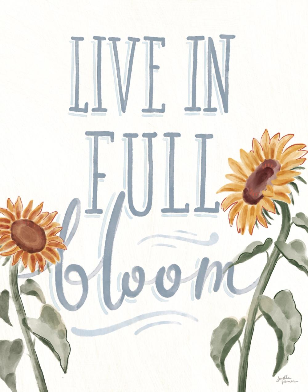 Sunflower Season VI White