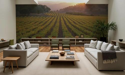 Napa Sunset