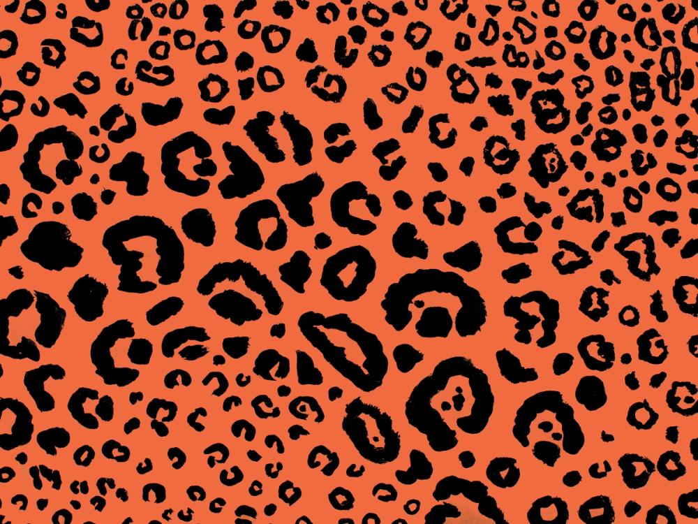 Animal Print II Orange