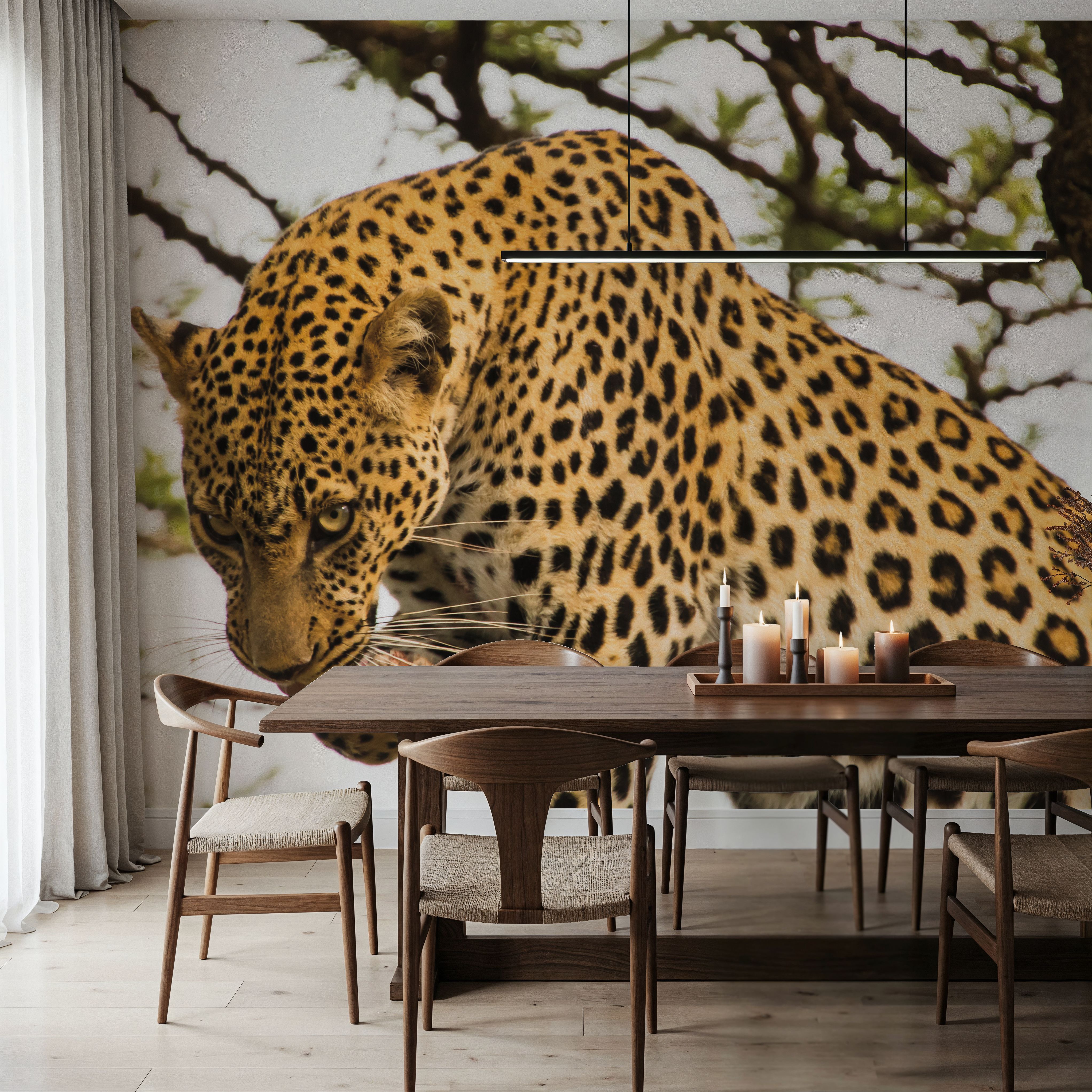 Leopard After Lunch
