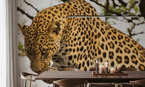 Leopard After Lunch