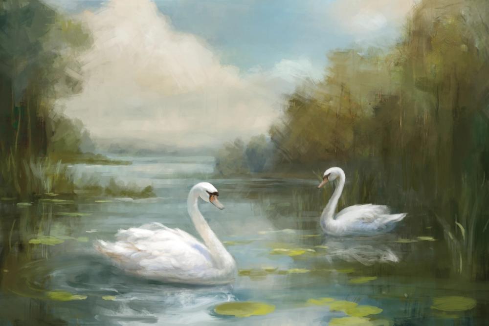 Swans