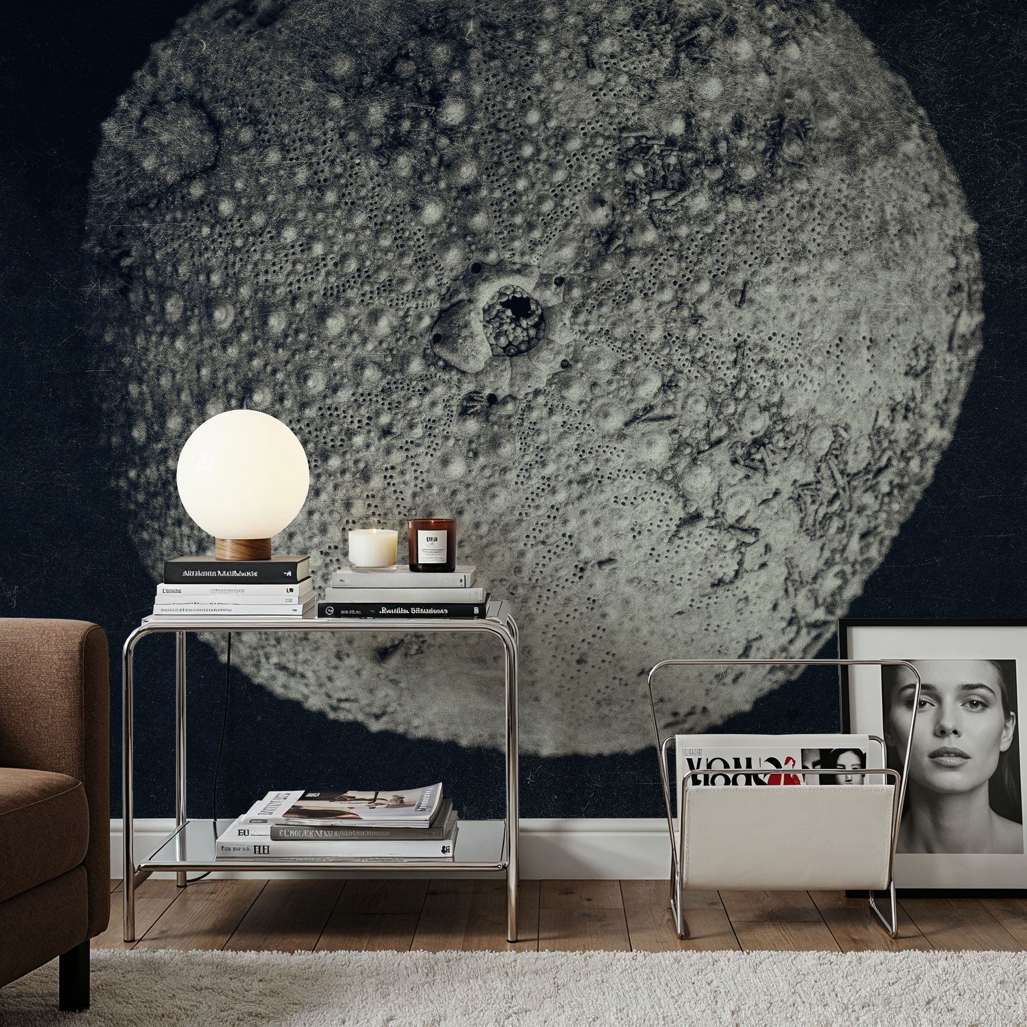 Urchin Still Life III