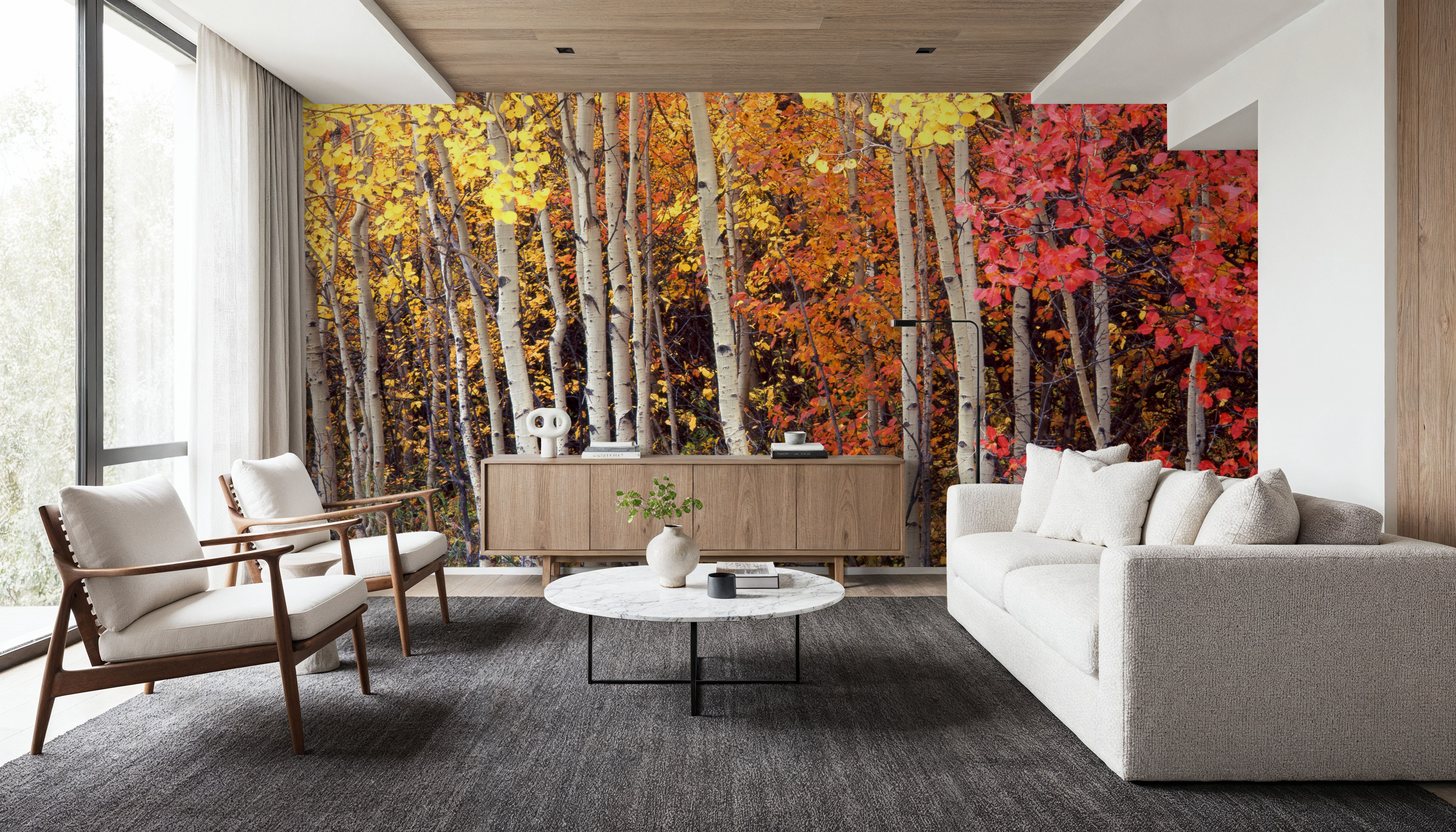 Autumn Aspen Grove, Wallpaper