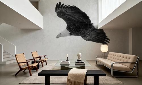 Eagle Eye