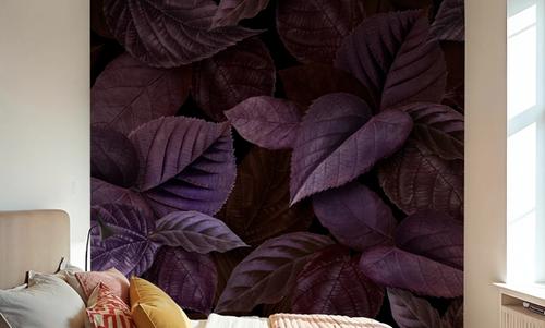 Purple Leaves