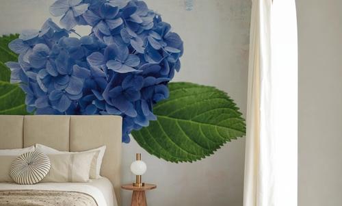 Bright Blue Hydrangea