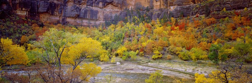 Canyon Autumn Splendor