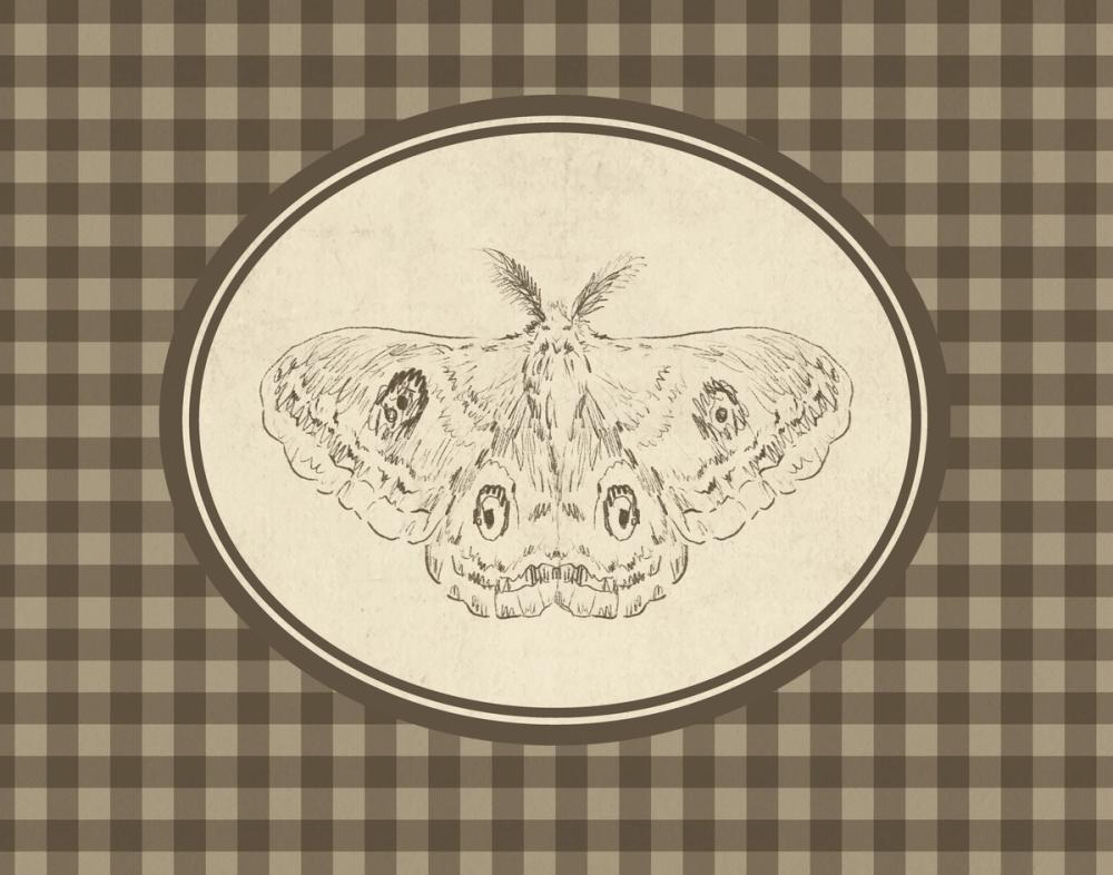 Woodland Moth Gingham