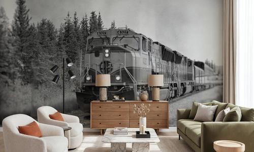 Alaskan Train