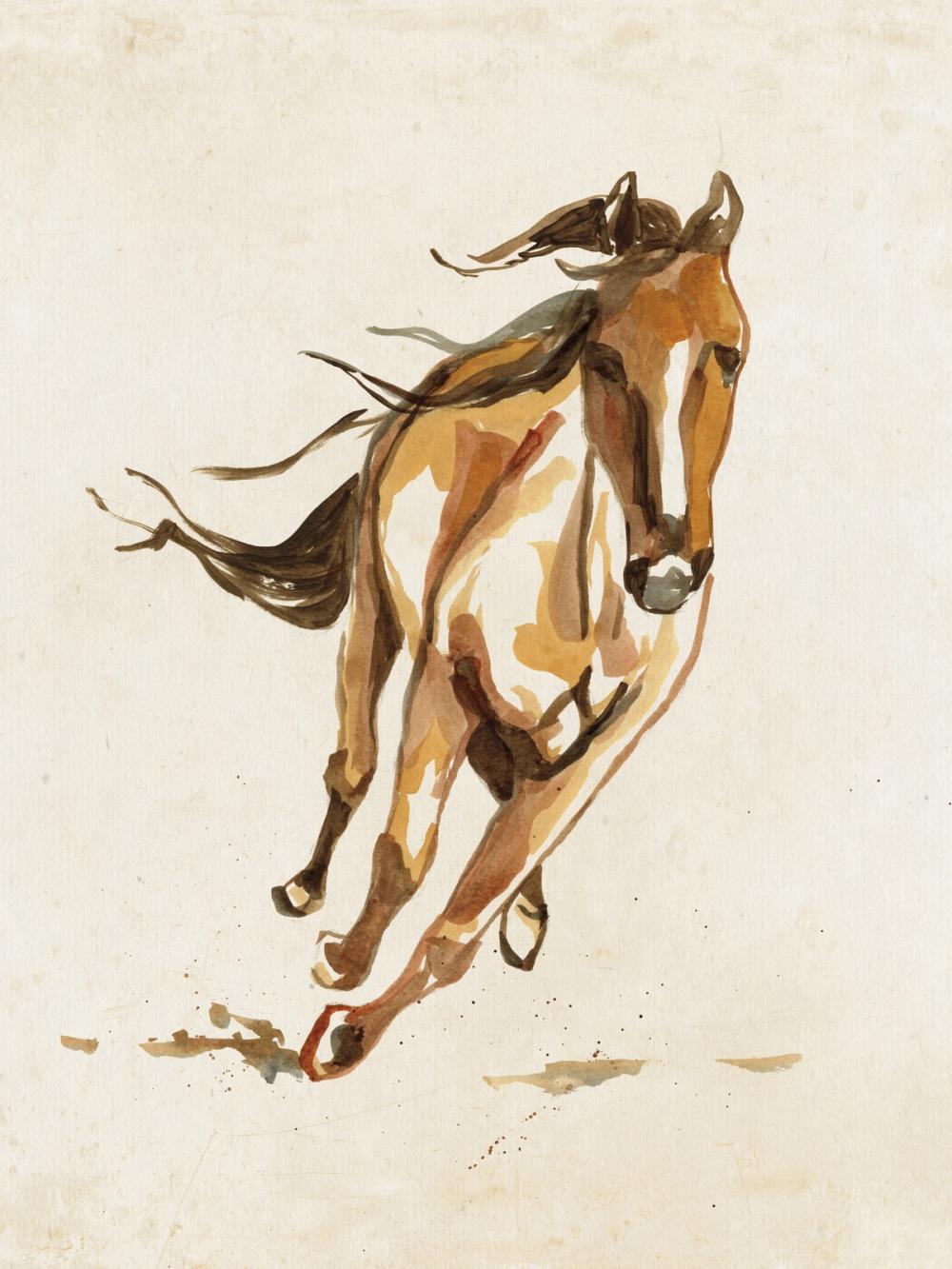 Ride Em