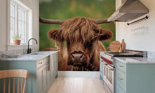 Highland Meadow Portrait