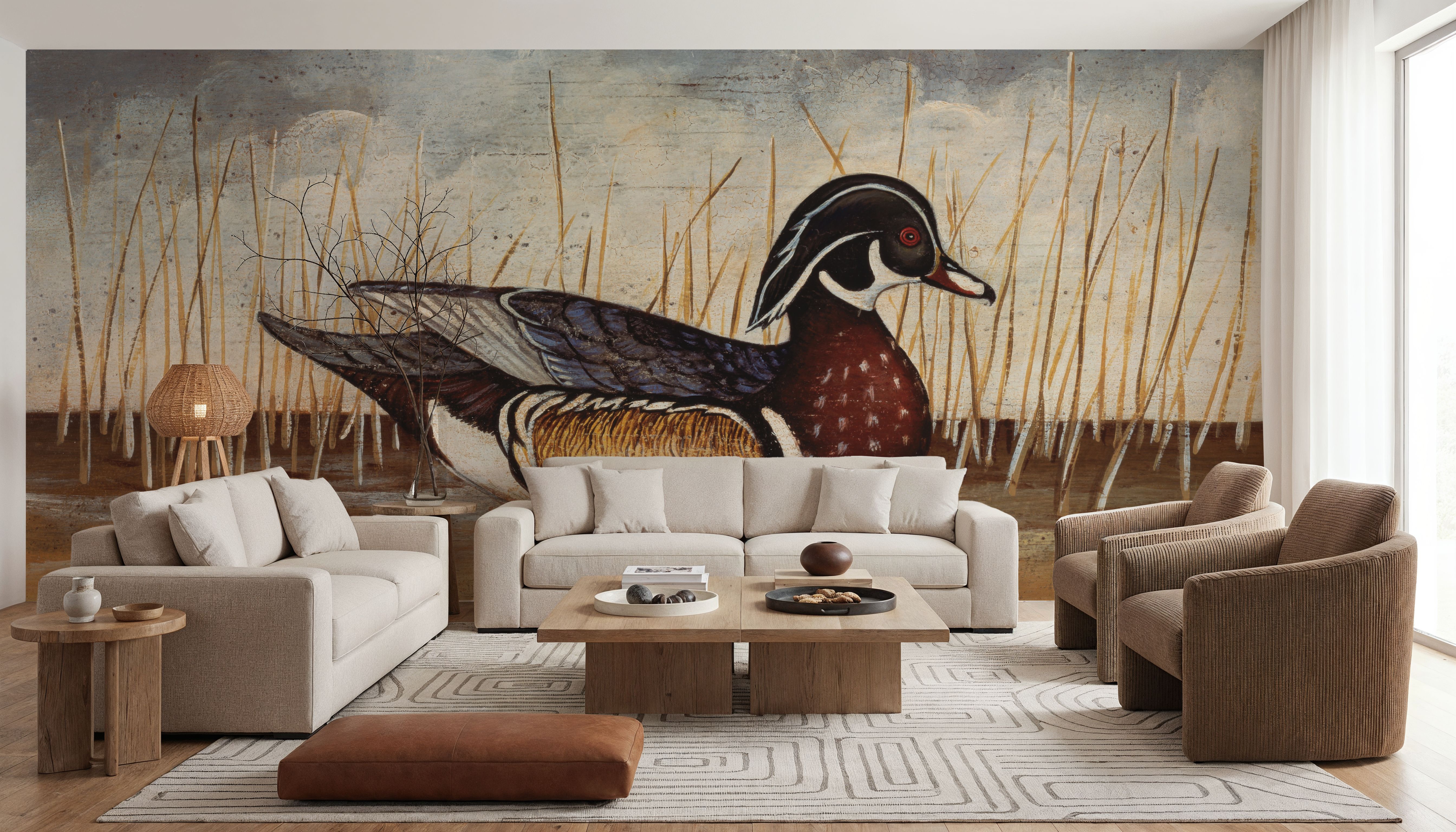 Wood Duck
