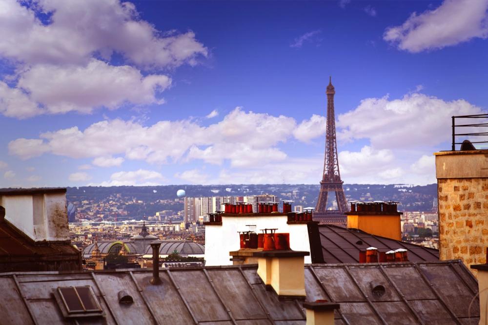 Parisian Rooftop Vista
