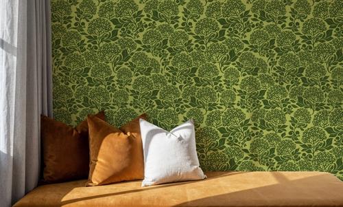 Hydrangea, Lime