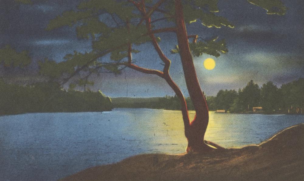 Moonshadow - Screenprint Postcard