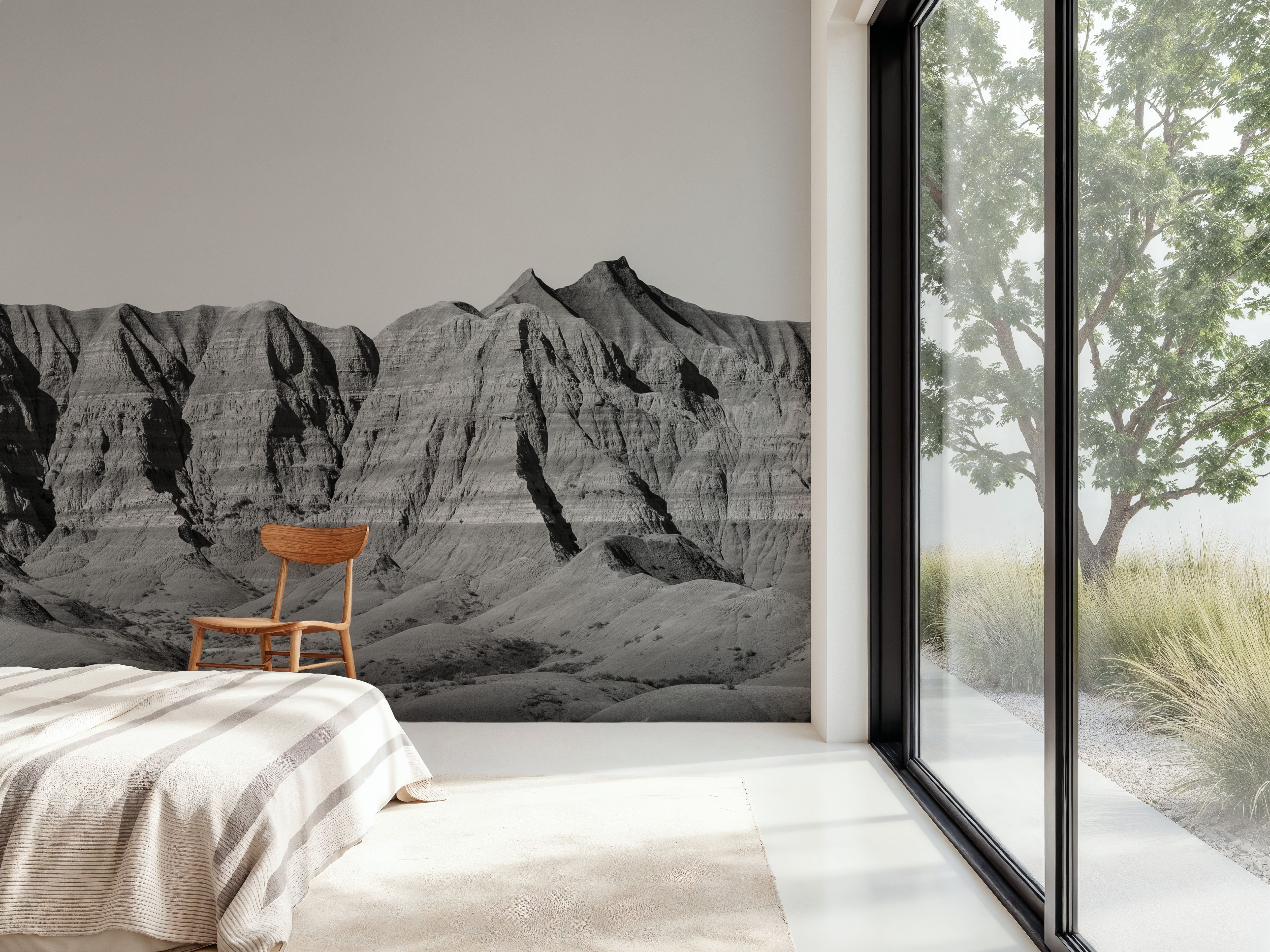 Badlands Black And White