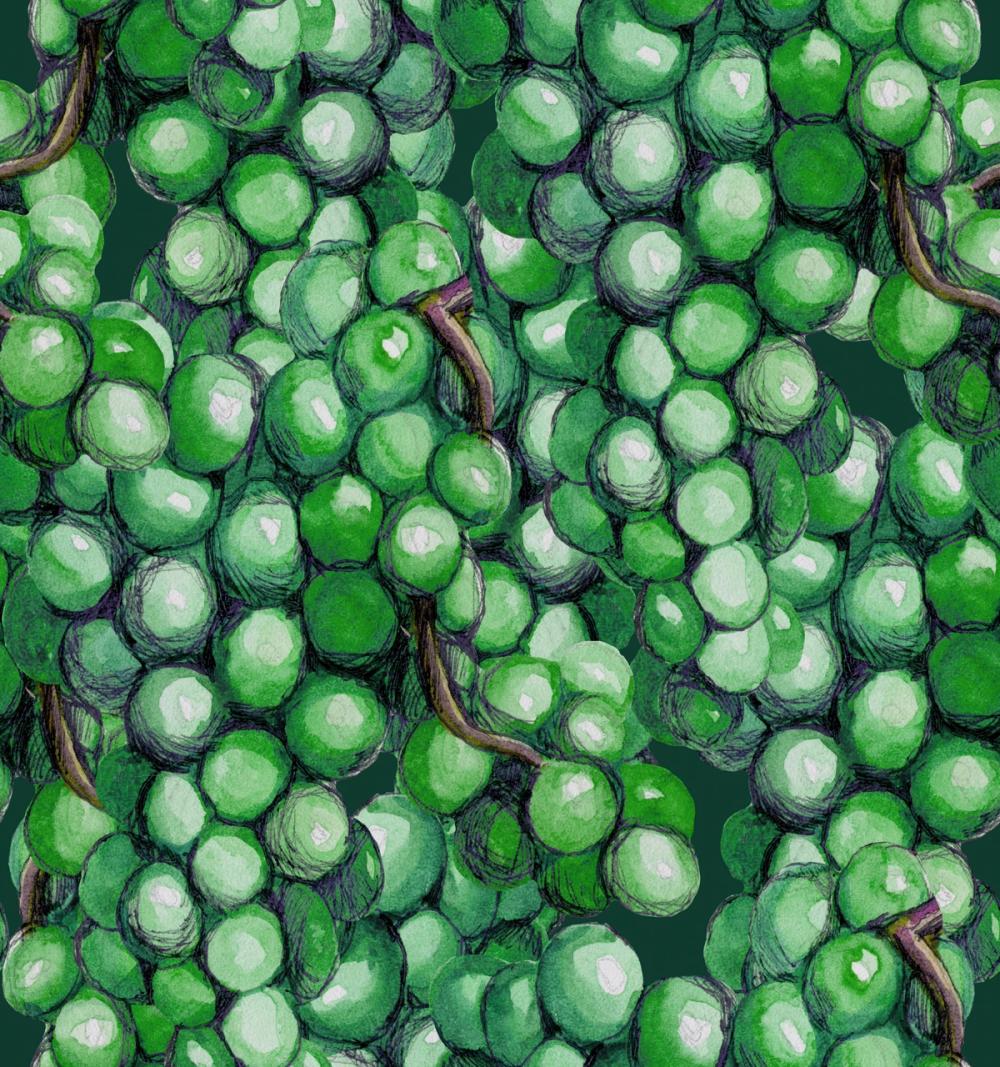 Vintage Grapes