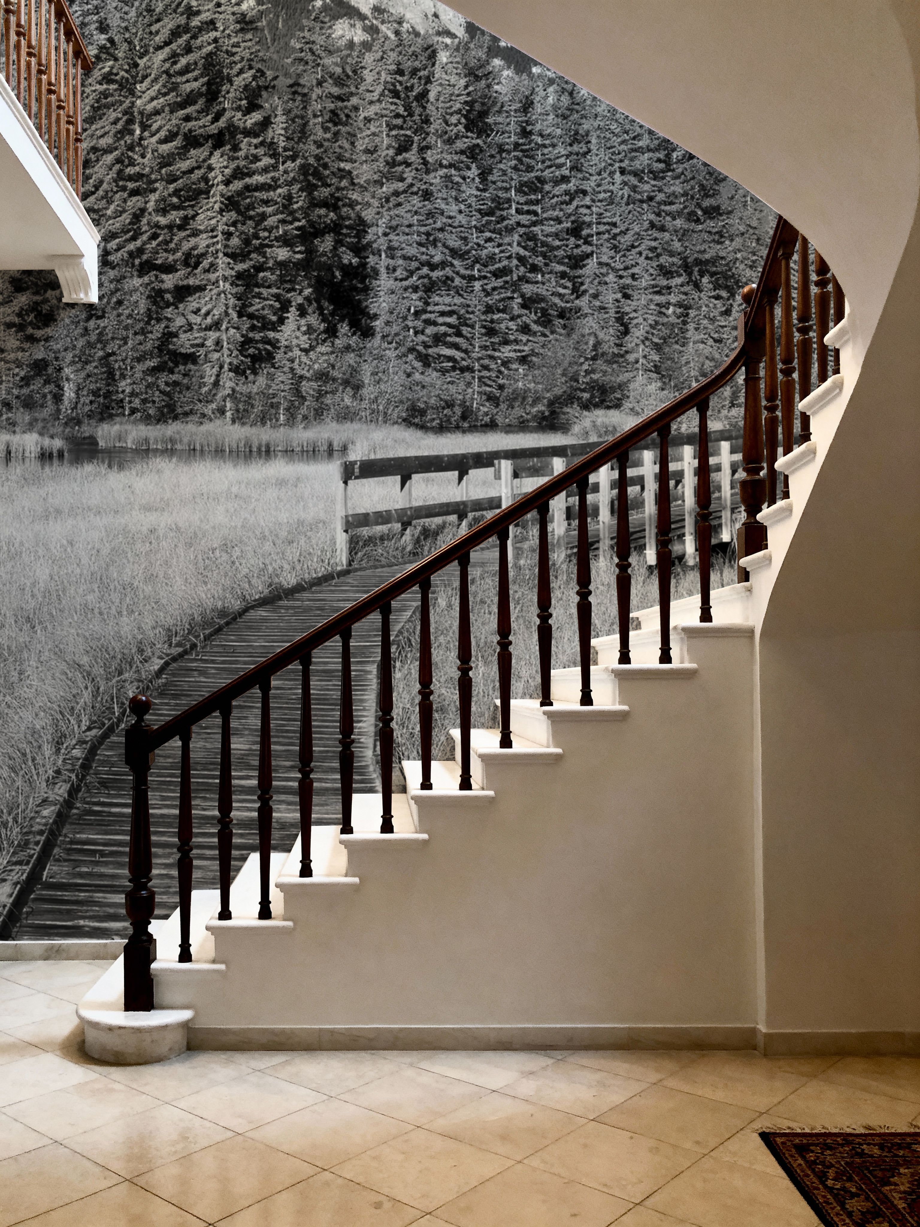 Policeman Creek Boardwalk