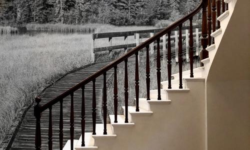 Policeman Creek Boardwalk