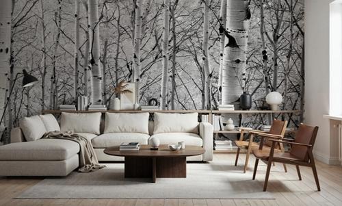 Silver Birch Symphony