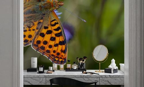 Butterfly Wings