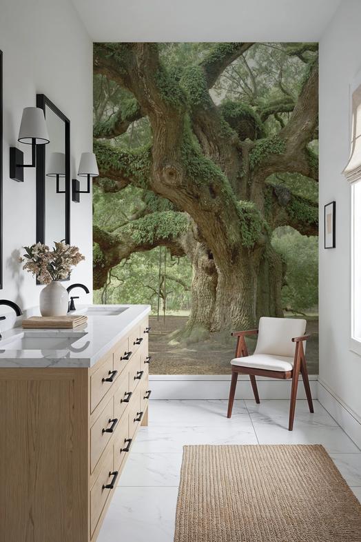 Angel Oak Tree