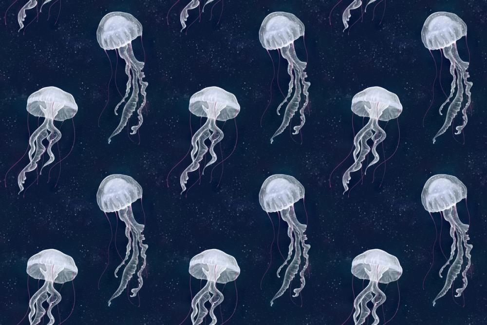 Jellyfish Zen
