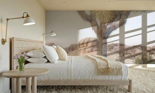 Joshua Tree Study I