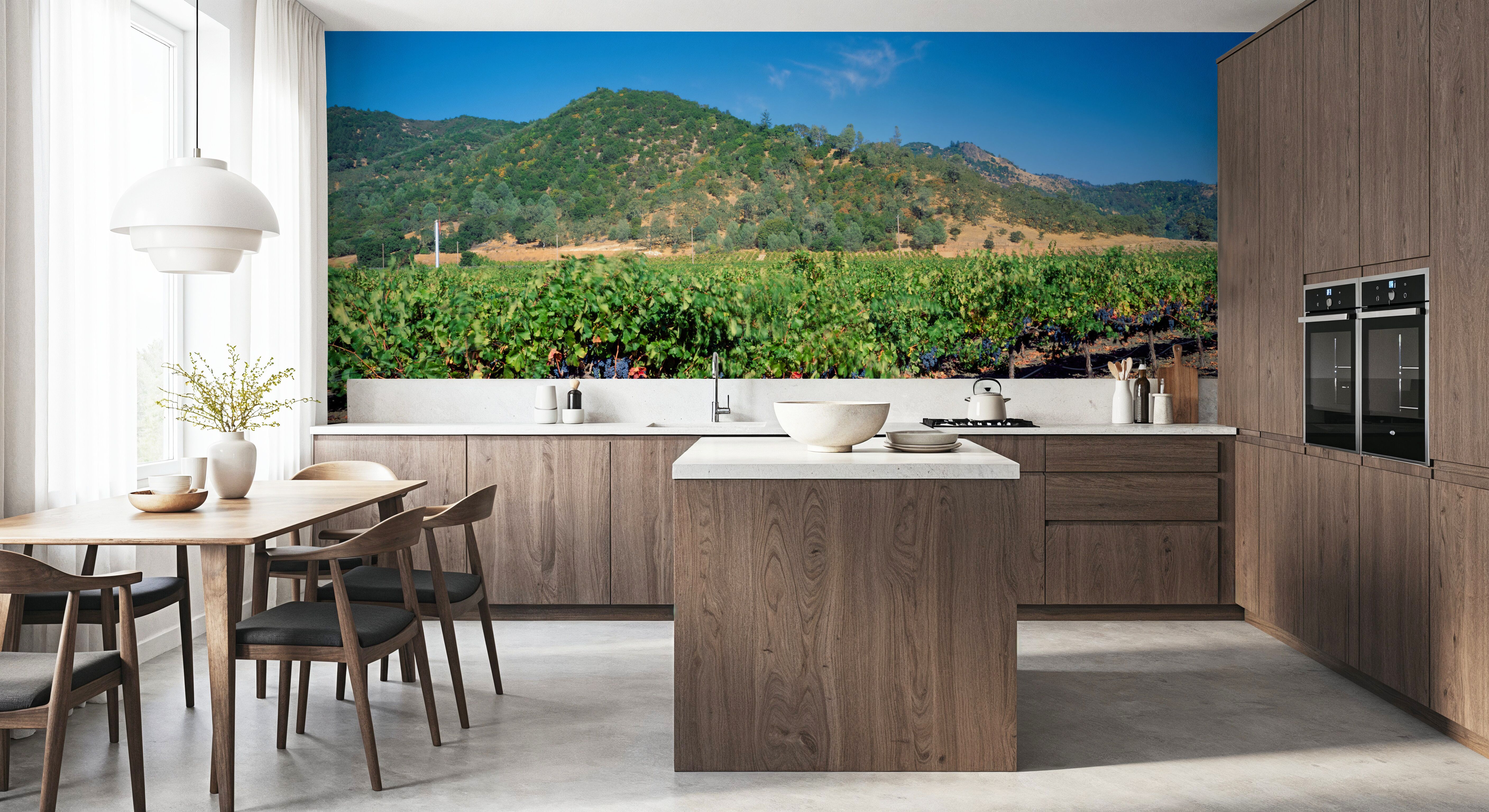 Vineyard Splendor