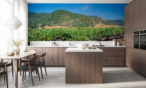 Vineyard Splendor