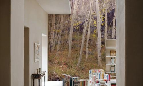 Aspen Grove Serenity
