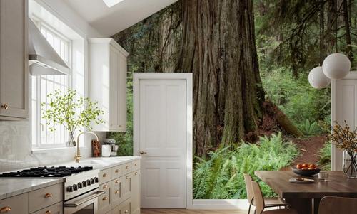 Primeval Forest Path
