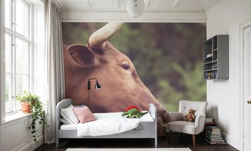 Longhorn Pair