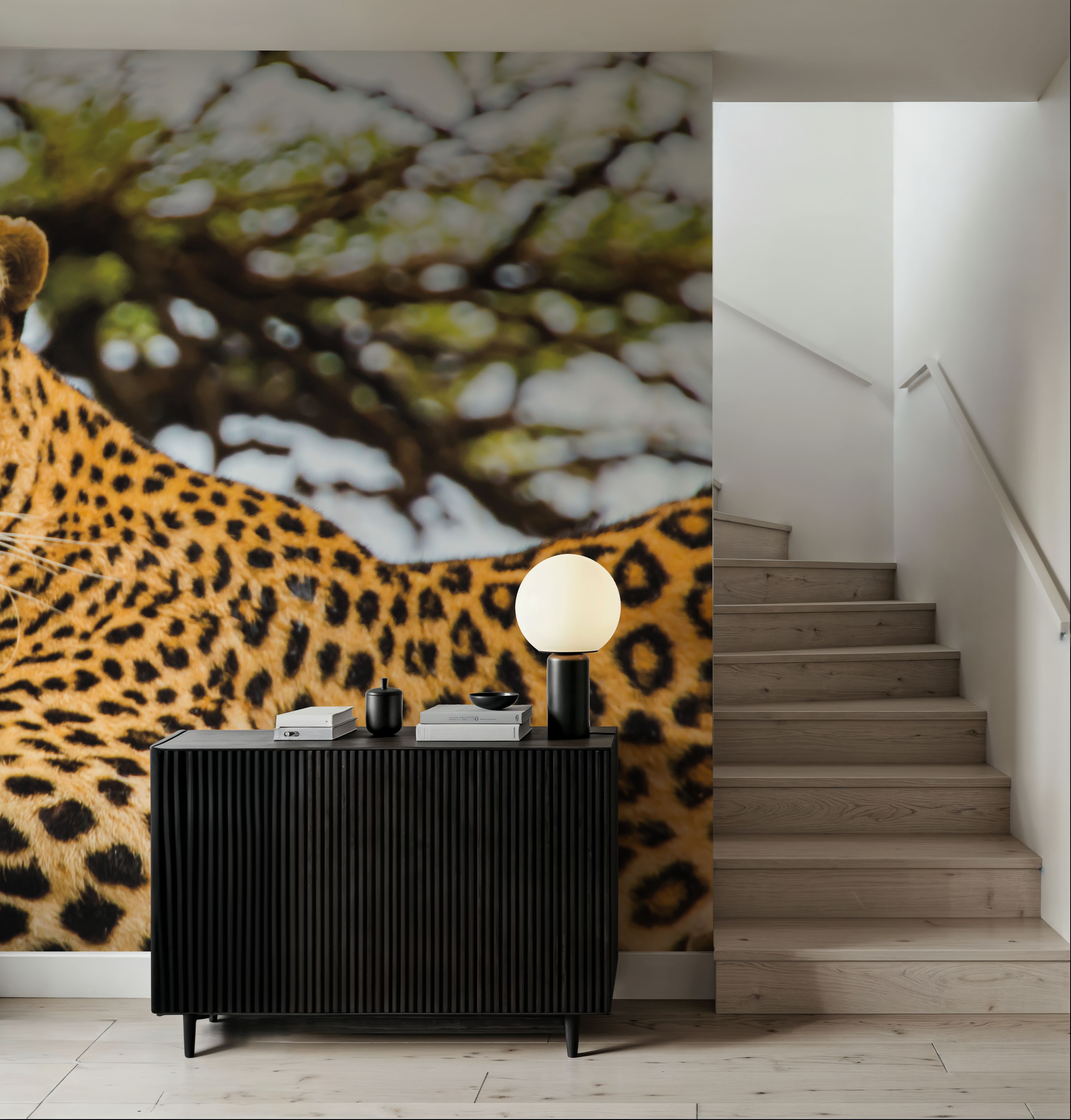 Lounging Leopard