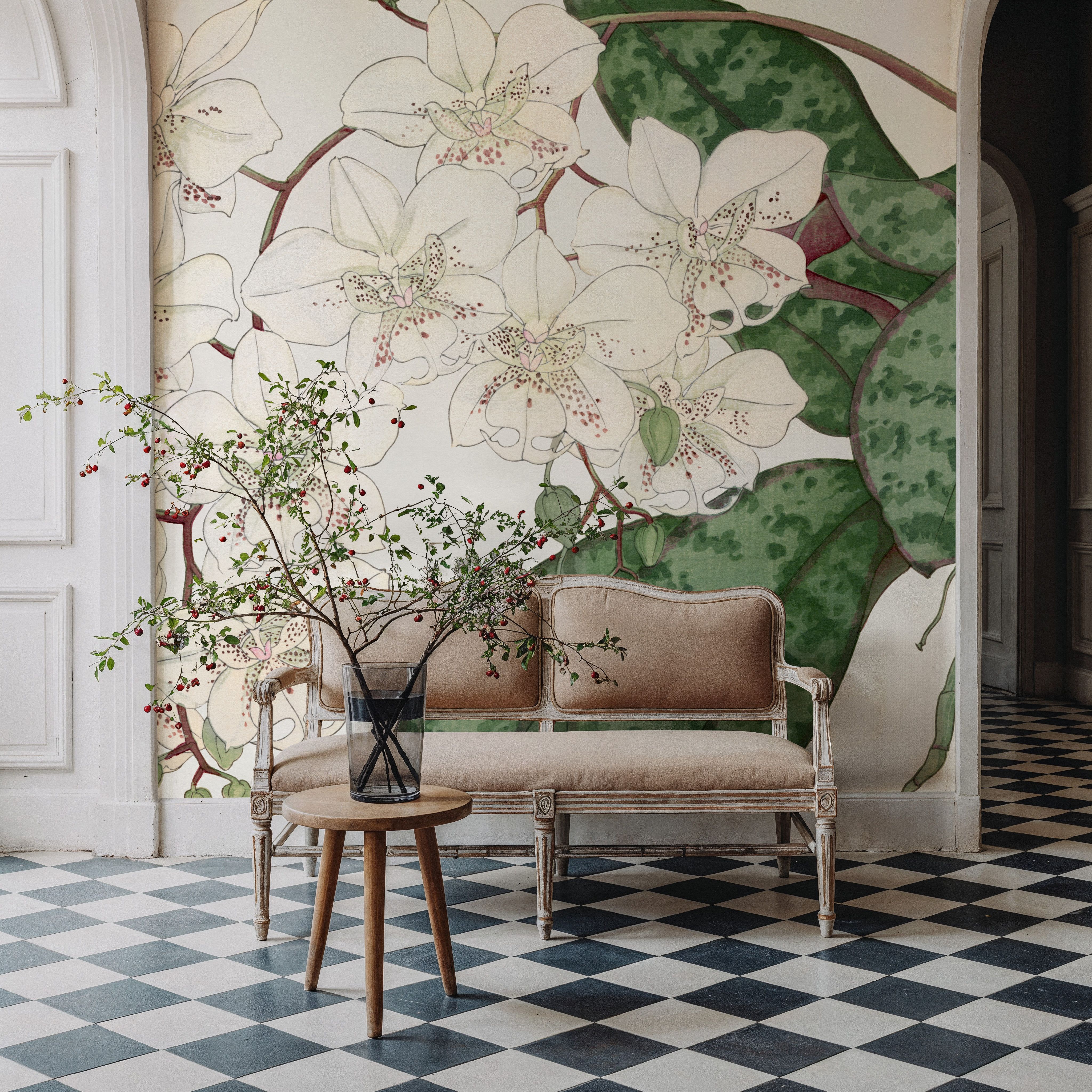 Tanigami Moth Orchid