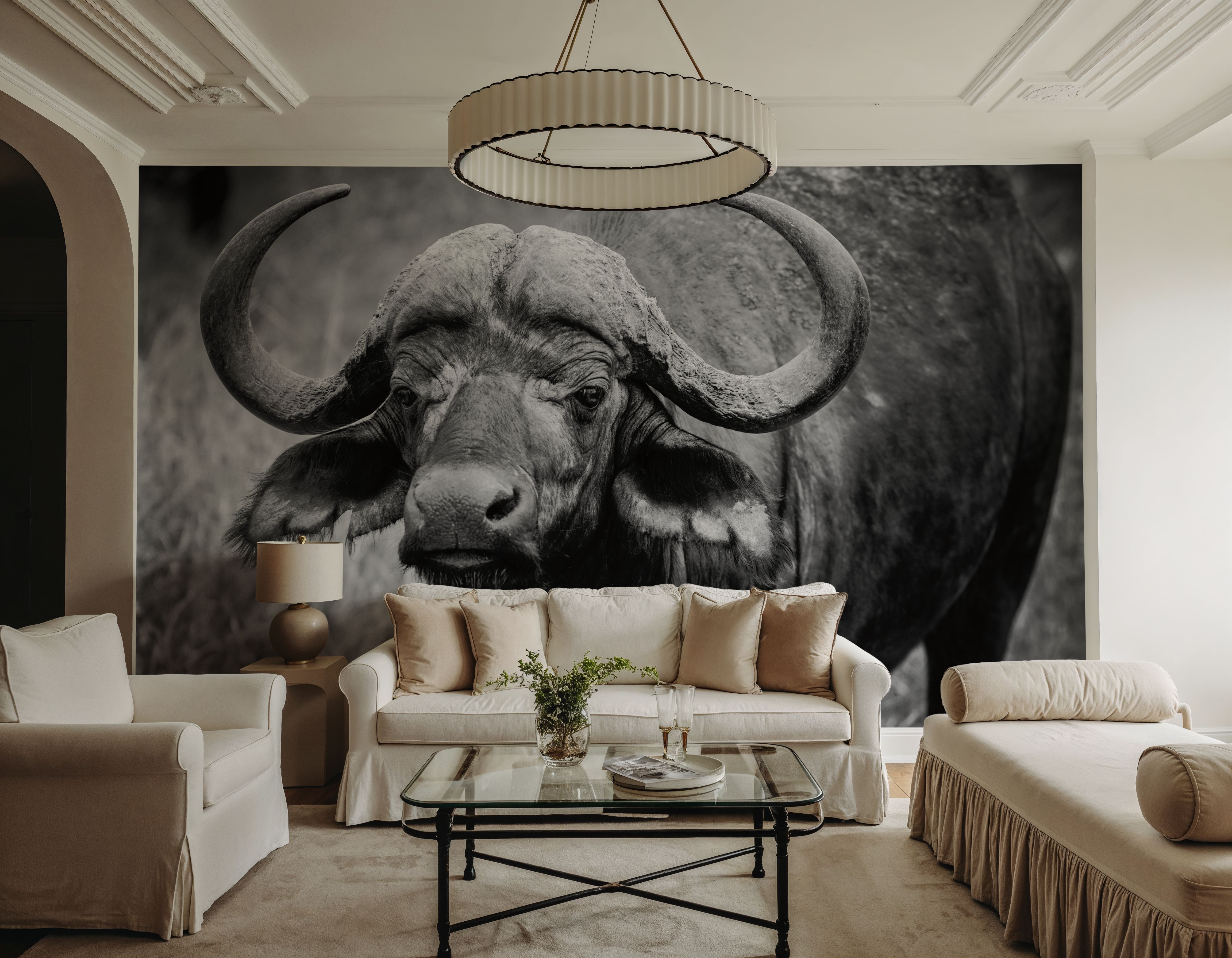 African Buffalo