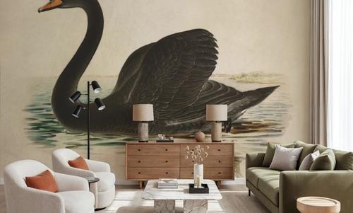 Antique Black Swan