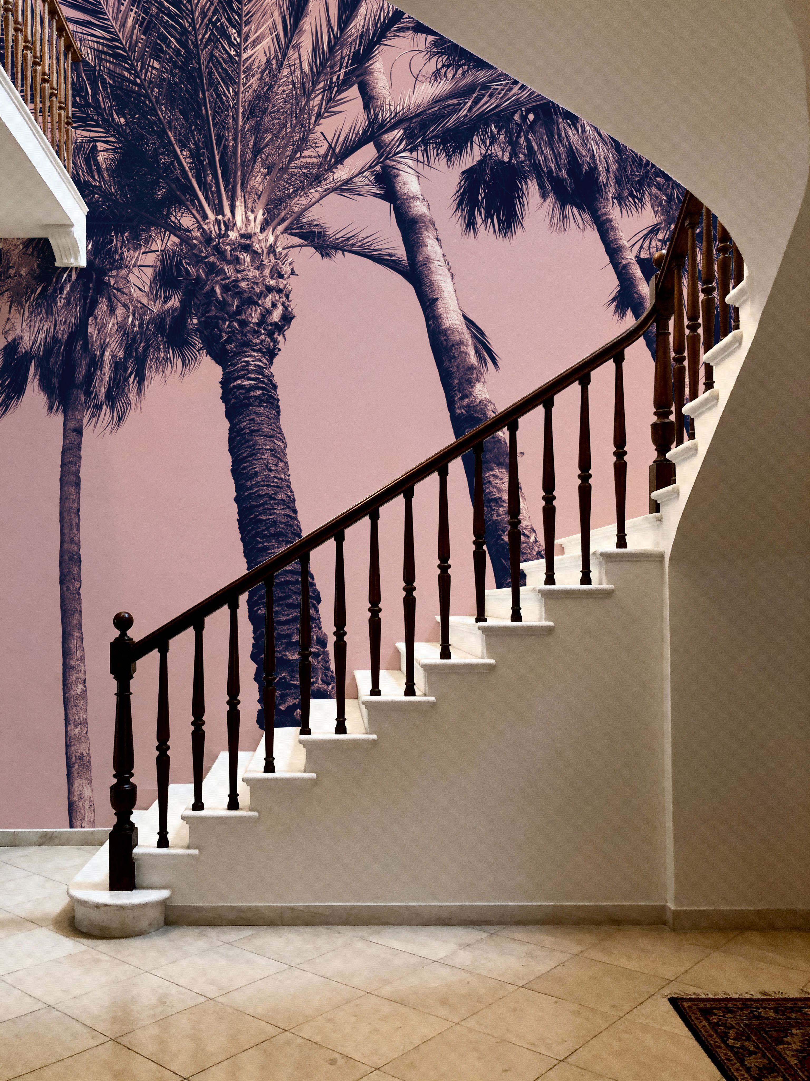 Pink Palms II