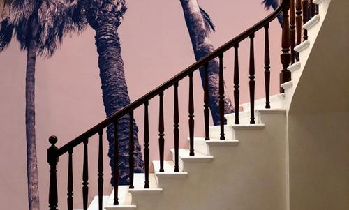 Pink Palms II