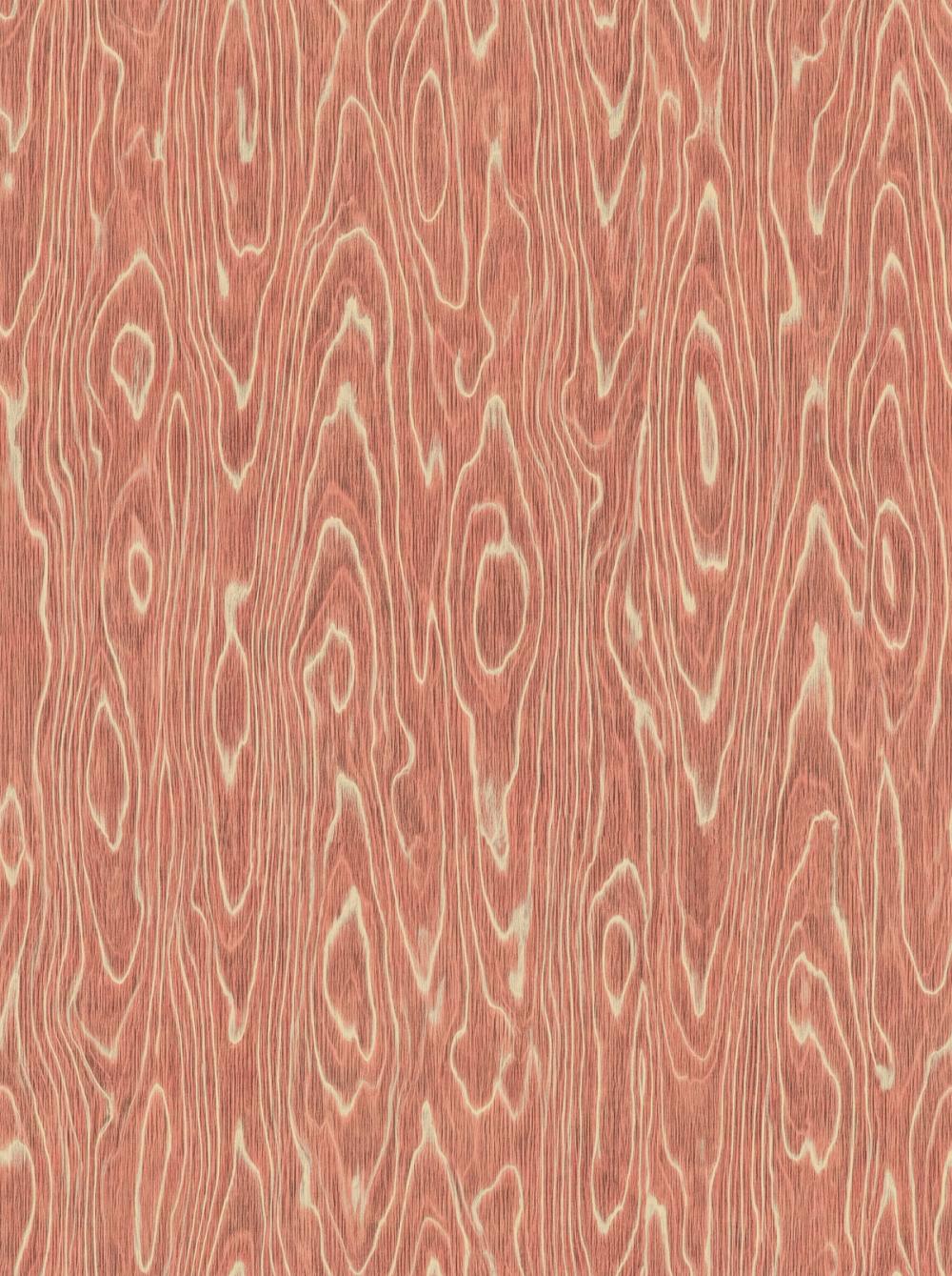Conoid Grain, Venetian