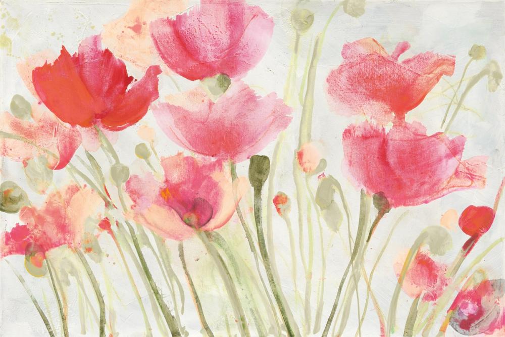 Blush Poppies