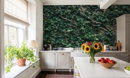 Ivy Leaves