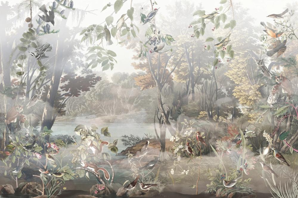 Hidden Land Scenery Collage, Neutral